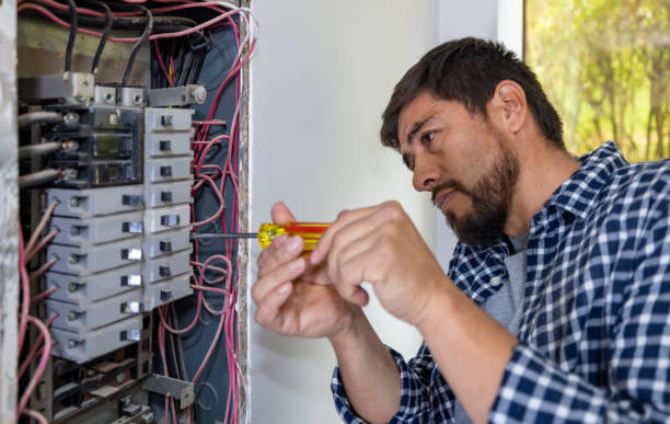 Best Electric Panel Repair  in Thomaston, GA